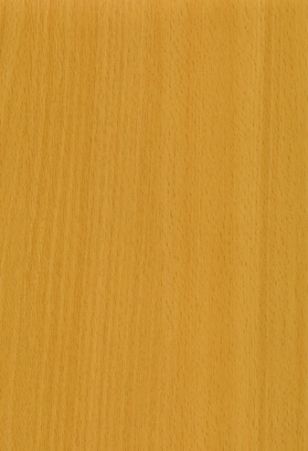 Бук Светлый MCW0043007
