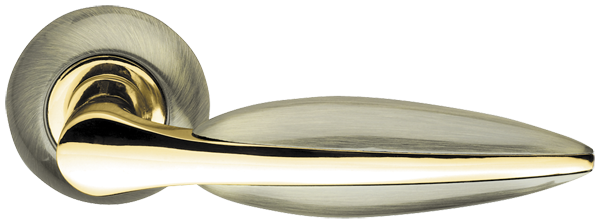 Lacerta-LD58