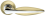 Lacerta-LD58