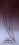 Original Модель 83